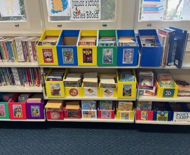 Shelves of library books