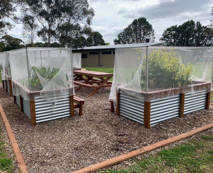 Vegetable garden beds and seat